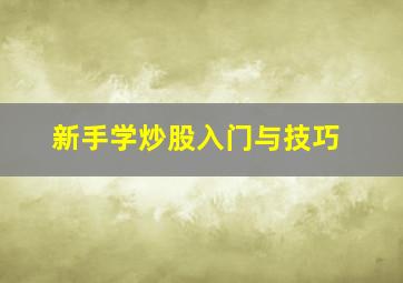 新手学炒股入门与技巧