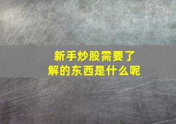 新手炒股需要了解的东西是什么呢