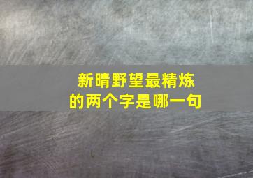 新晴野望最精炼的两个字是哪一句