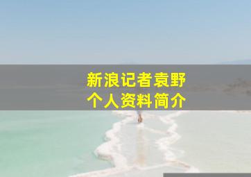 新浪记者袁野个人资料简介