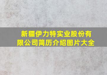 新疆伊力特实业股份有限公司简历介绍图片大全