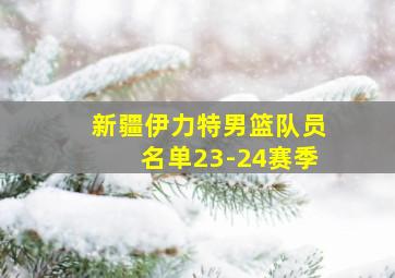 新疆伊力特男篮队员名单23-24赛季