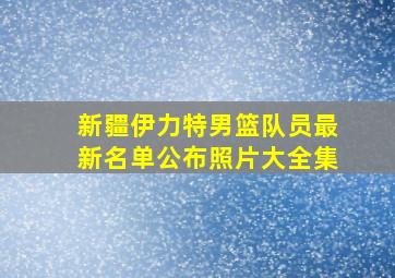 新疆伊力特男篮队员最新名单公布照片大全集