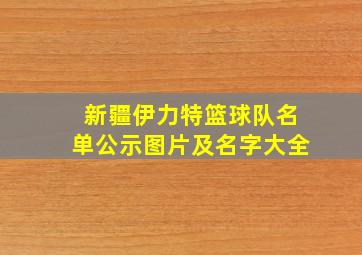 新疆伊力特篮球队名单公示图片及名字大全