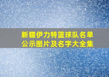 新疆伊力特篮球队名单公示图片及名字大全集