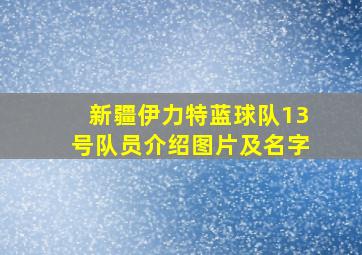 新疆伊力特蓝球队13号队员介绍图片及名字