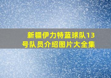 新疆伊力特蓝球队13号队员介绍图片大全集