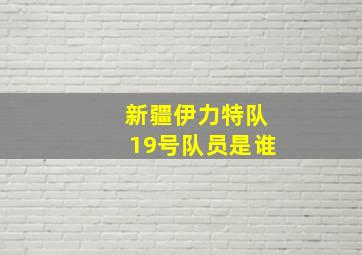 新疆伊力特队19号队员是谁