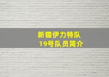 新疆伊力特队19号队员简介