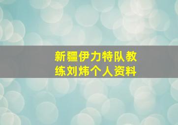 新疆伊力特队教练刘炜个人资料