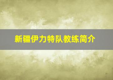 新疆伊力特队教练简介