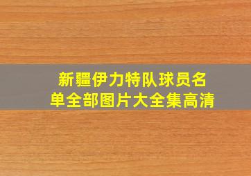 新疆伊力特队球员名单全部图片大全集高清