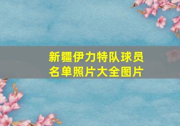 新疆伊力特队球员名单照片大全图片