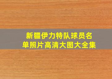 新疆伊力特队球员名单照片高清大图大全集