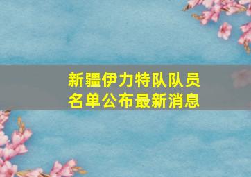 新疆伊力特队队员名单公布最新消息