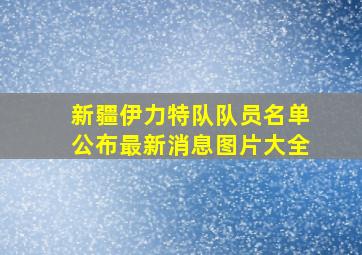 新疆伊力特队队员名单公布最新消息图片大全