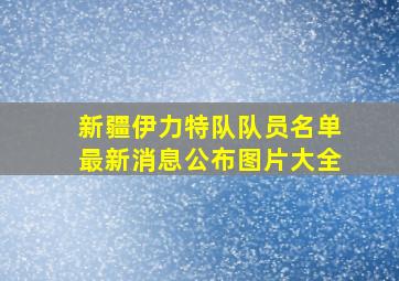 新疆伊力特队队员名单最新消息公布图片大全