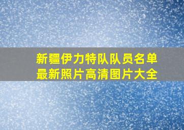 新疆伊力特队队员名单最新照片高清图片大全