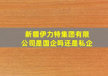 新疆伊力特集团有限公司是国企吗还是私企