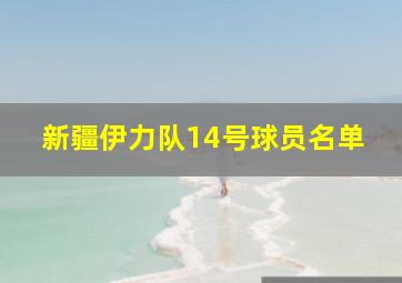 新疆伊力队14号球员名单