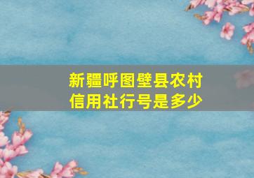 新疆呼图壁县农村信用社行号是多少