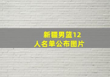 新疆男篮12人名单公布图片