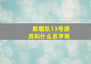 新疆队13号球员叫什么名字呢