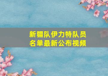 新疆队伊力特队员名单最新公布视频