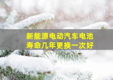 新能源电动汽车电池寿命几年更换一次好