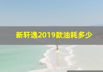 新轩逸2019款油耗多少