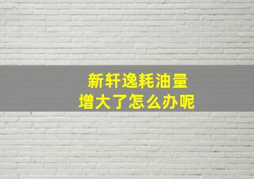 新轩逸耗油量增大了怎么办呢