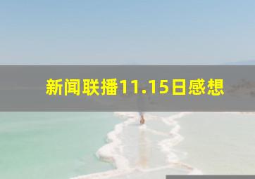 新闻联播11.15日感想