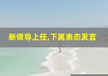 新领导上任,下属表态发言