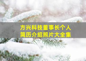 方兴科技董事长个人简历介绍照片大全集