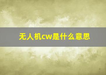 无人机cw是什么意思