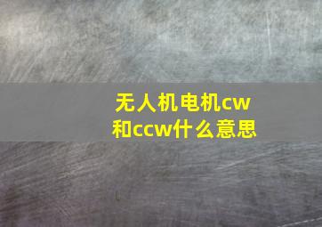 无人机电机cw和ccw什么意思