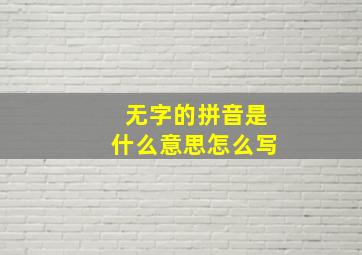 无字的拼音是什么意思怎么写