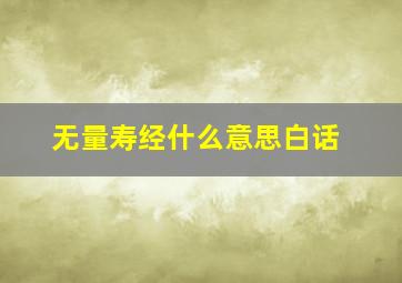 无量寿经什么意思白话