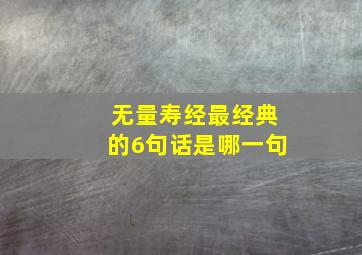 无量寿经最经典的6句话是哪一句