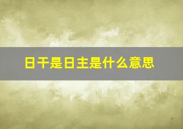 日干是日主是什么意思