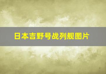 日本吉野号战列舰图片