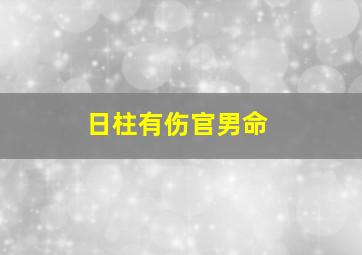 日柱有伤官男命