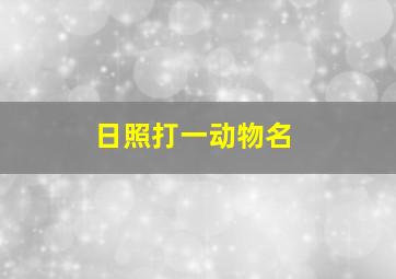 日照打一动物名