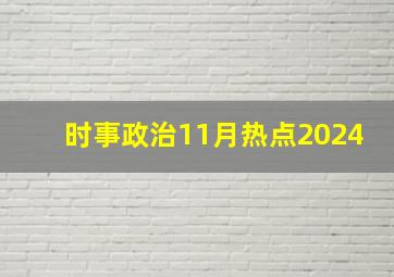 时事政治11月热点2024