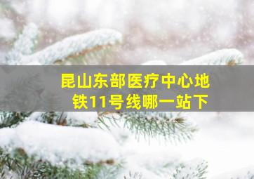 昆山东部医疗中心地铁11号线哪一站下