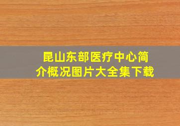 昆山东部医疗中心简介概况图片大全集下载