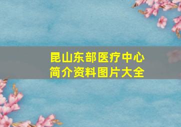 昆山东部医疗中心简介资料图片大全