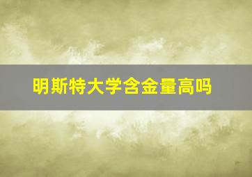 明斯特大学含金量高吗