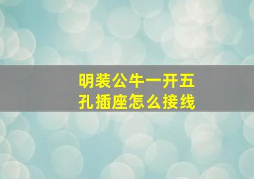 明装公牛一开五孔插座怎么接线