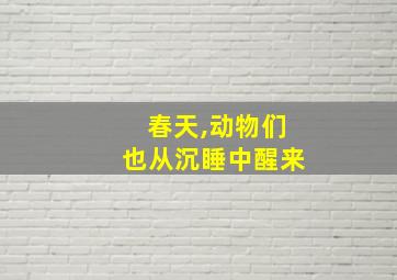 春天,动物们也从沉睡中醒来